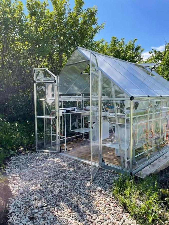 Glamping Nad Jeziorem Ξενοδοχείο Nowe Guty Εξωτερικό φωτογραφία